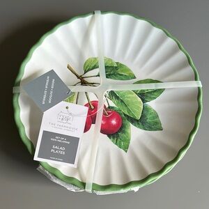 NWT Rachel Ashwell set of 4 salad plates melamine Green and White Salad Plates